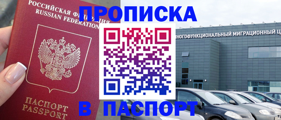 прописка для школы в Тосно